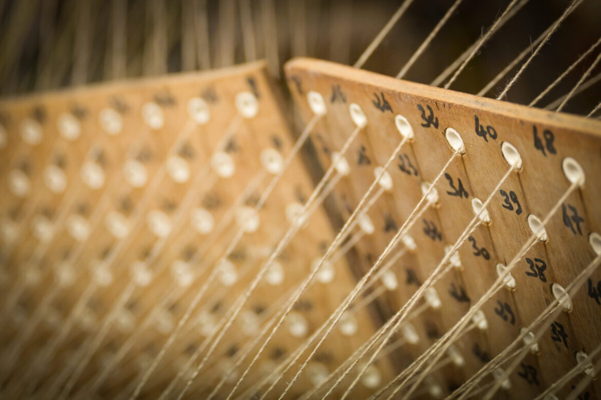 Wildling roept op tot verbinding met de natuur