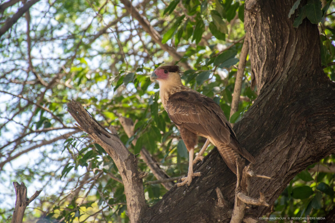 Fotoverslag van outdooractiviteiten op Bonaire